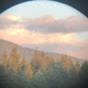 Meet your Posher, Thomas